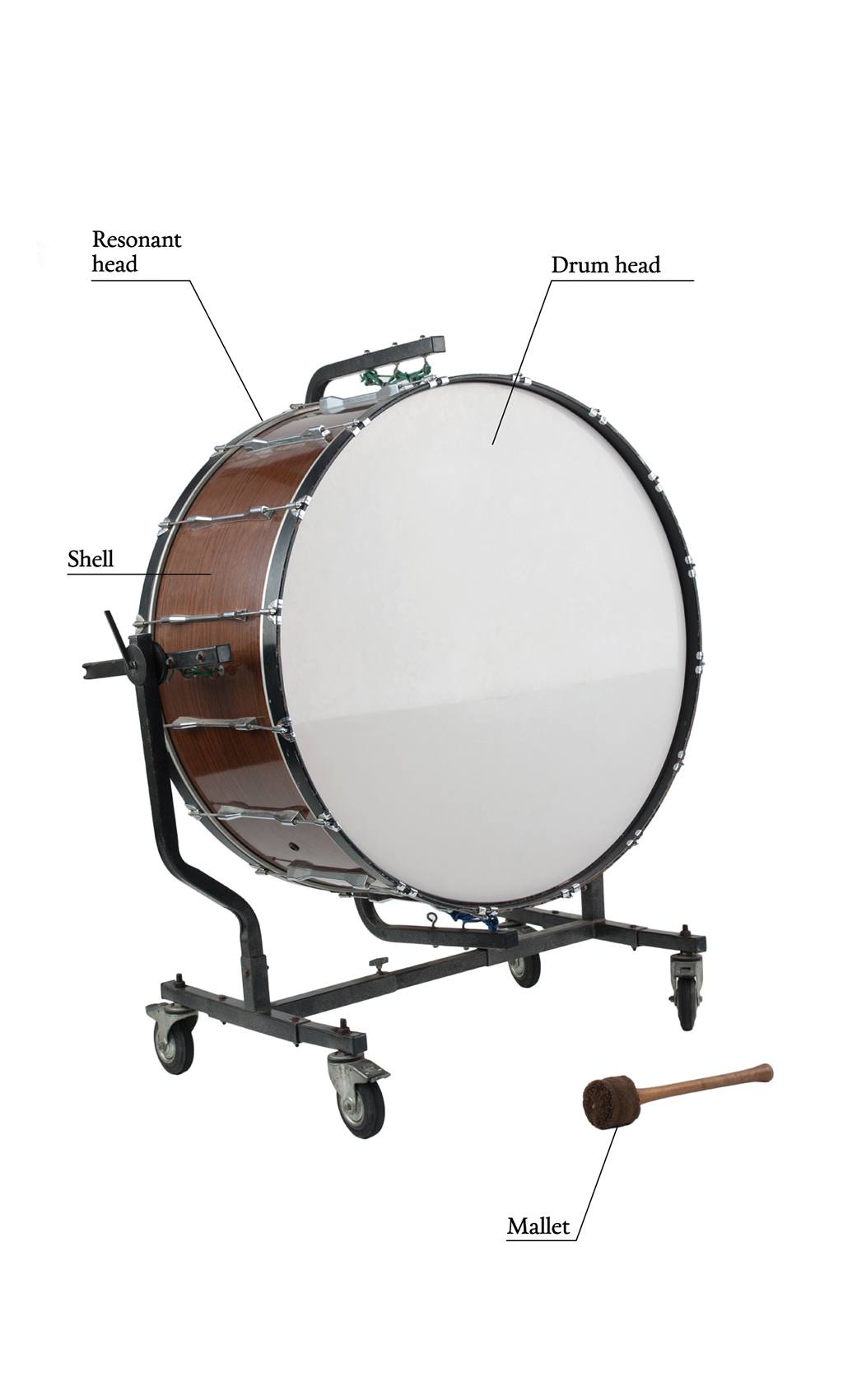 Bass drum - Wikipedia