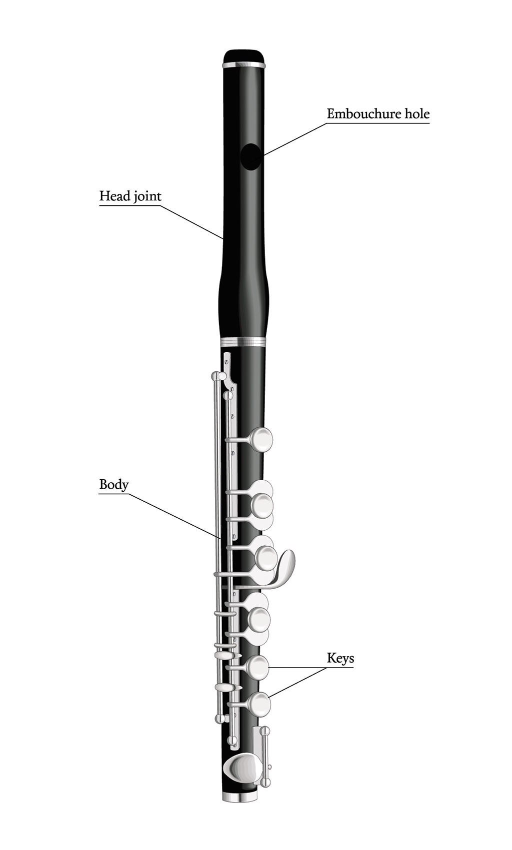 FELTECHELECTR 1Set Traditional Musical Instrument Flute For Music Enthusiasts In Multi Color
