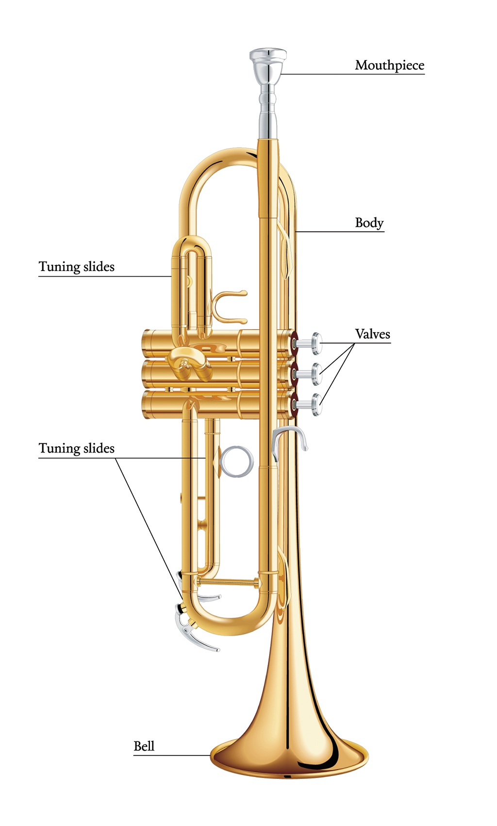 trumpet diagram
