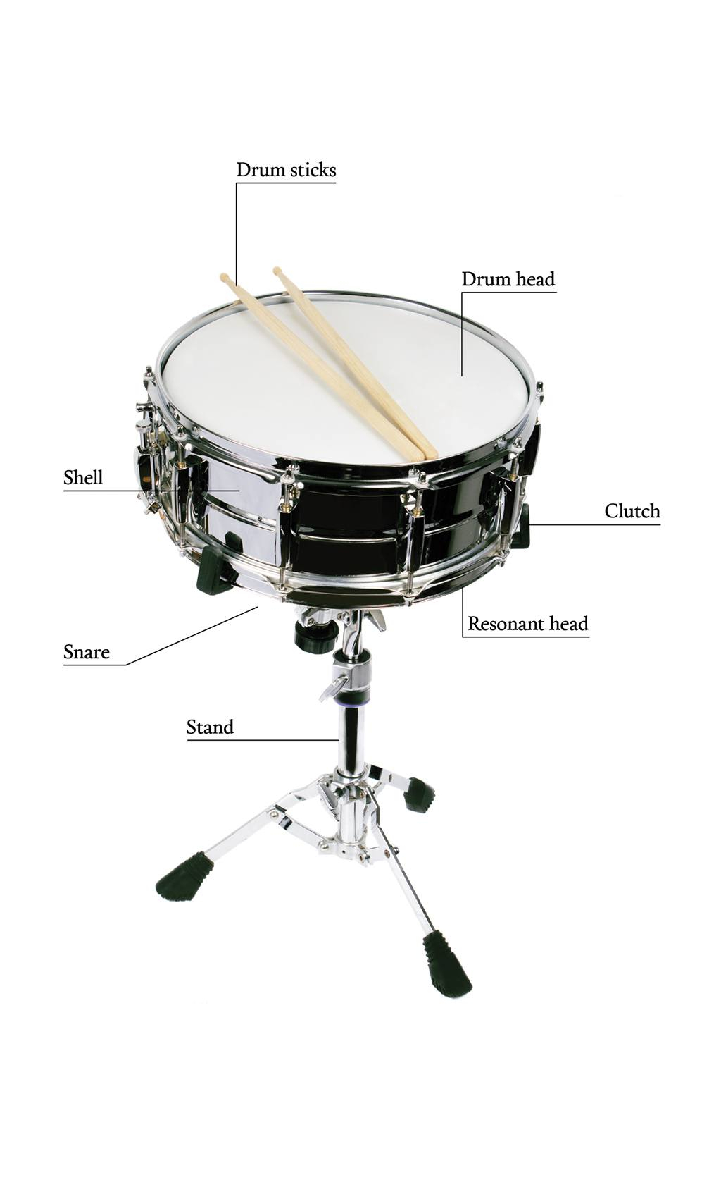 The Snare Drum