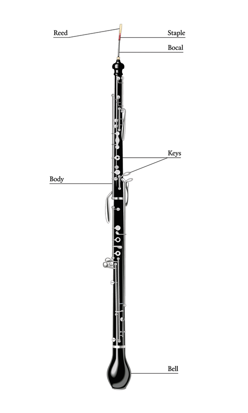 The English Horn