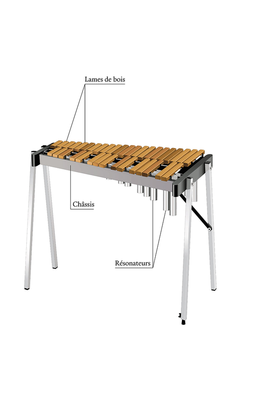 Le xylophone