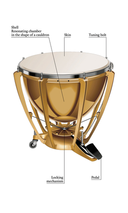 The Timpani