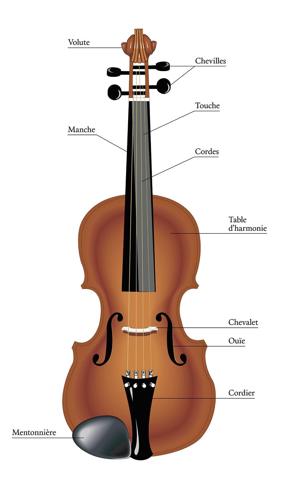 Le Violon
